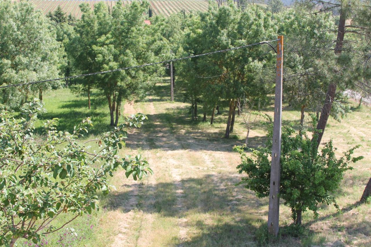 Herdade Dos Templarios Tomar Kültér fotó